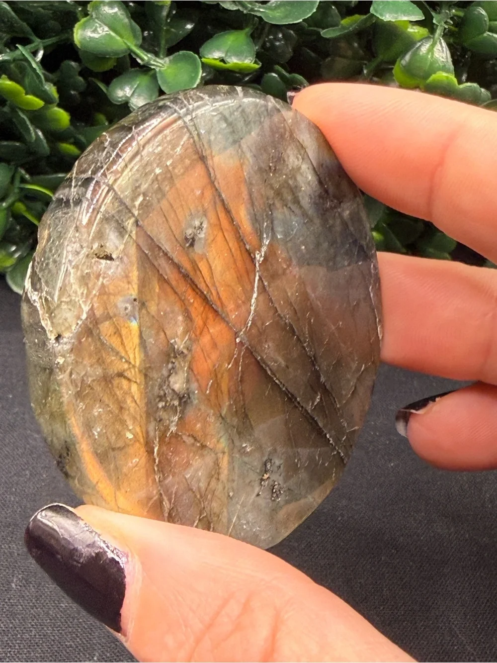 Full Flash Labradorite Shark Medallion